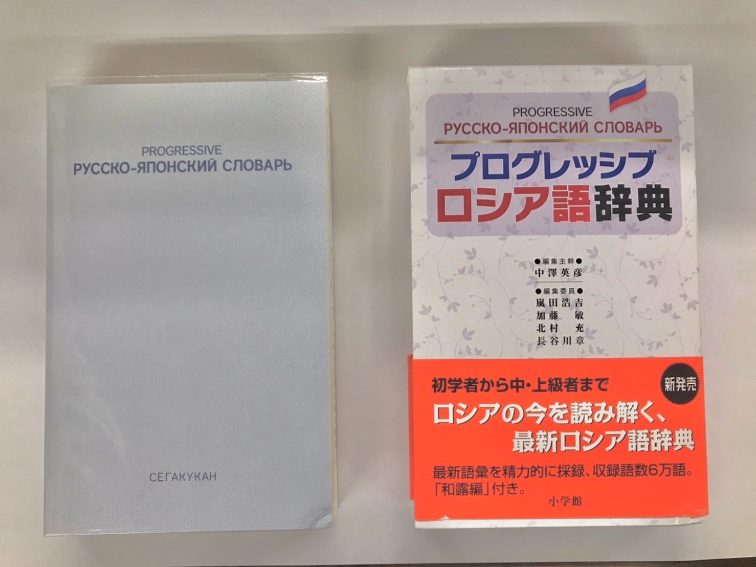 コラム ロシア語講師の教える ロシアに関係するお仕事紹介 第5回 辞書編纂 日ロドライブ